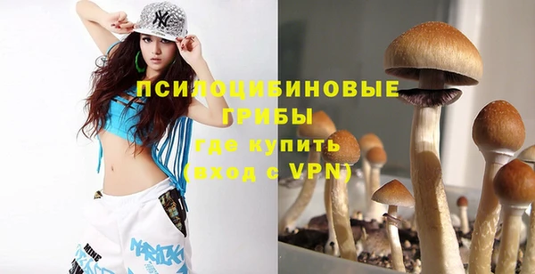 героин Ельня