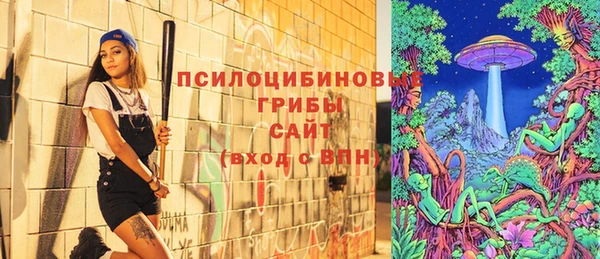 PSILOCYBIN Дмитровск