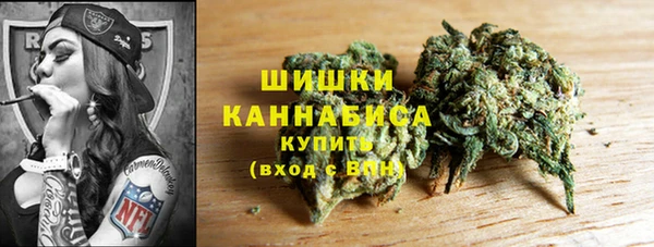 PSILOCYBIN Дмитровск